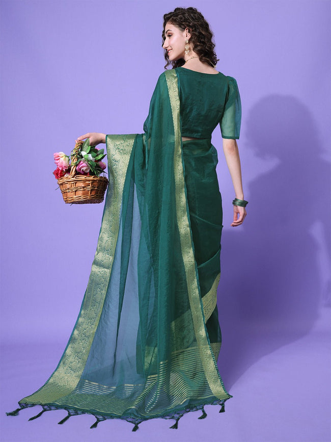 Embroidered Green Organza Saree With blouse 4329SR08